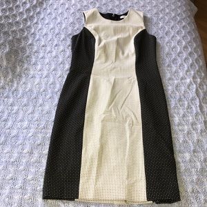 Calvin Klein black and white dress